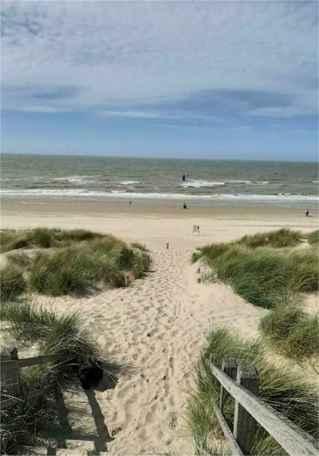Hotel Tiny Beachhouse Belgium, Wenduine Exterior foto